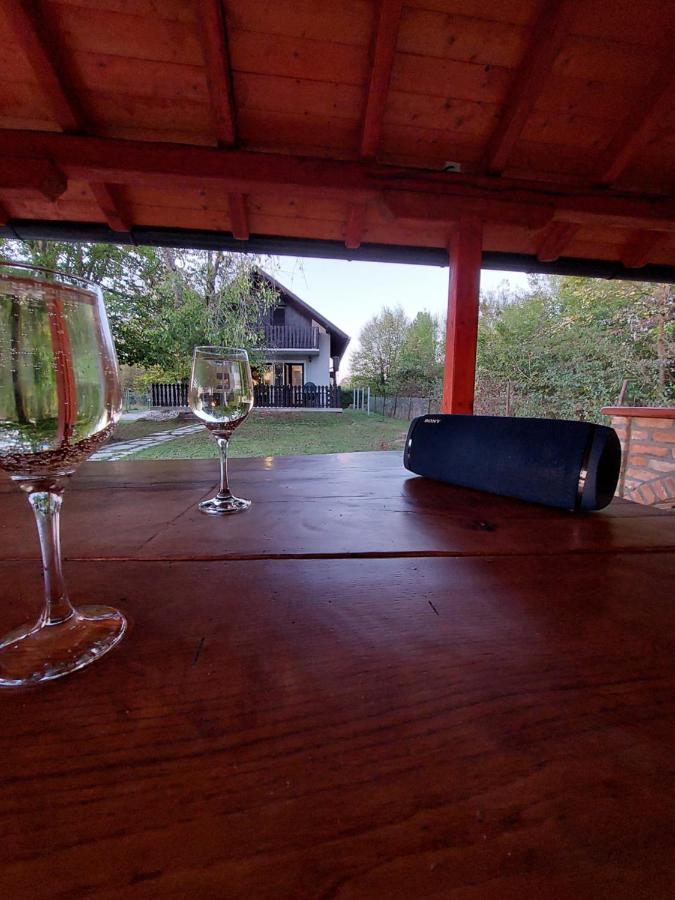 Vila House Kupa Mb Petrinja Exteriér fotografie