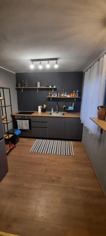 Vila House Kupa Mb Petrinja Exteriér fotografie