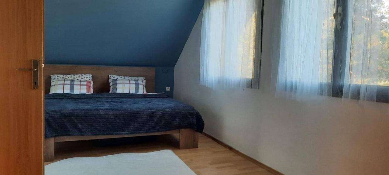 Vila House Kupa Mb Petrinja Exteriér fotografie