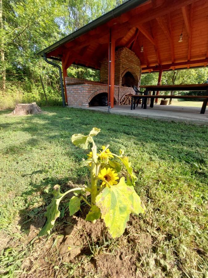 Vila House Kupa Mb Petrinja Exteriér fotografie