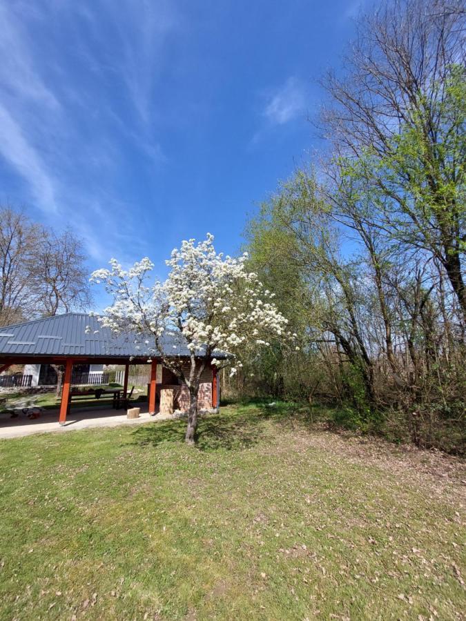 Vila House Kupa Mb Petrinja Exteriér fotografie