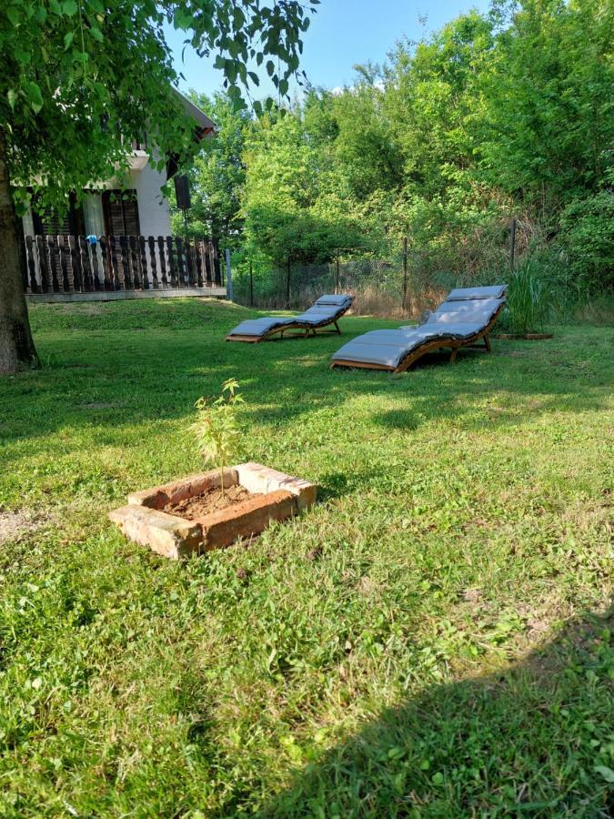 Vila House Kupa Mb Petrinja Exteriér fotografie